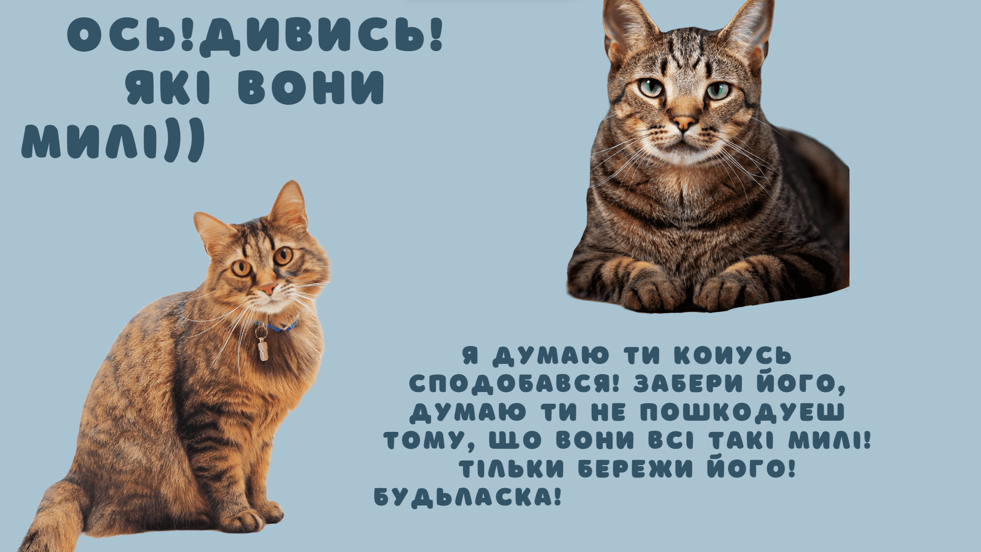 GoITeens - image 2024 02 27 17 51 22