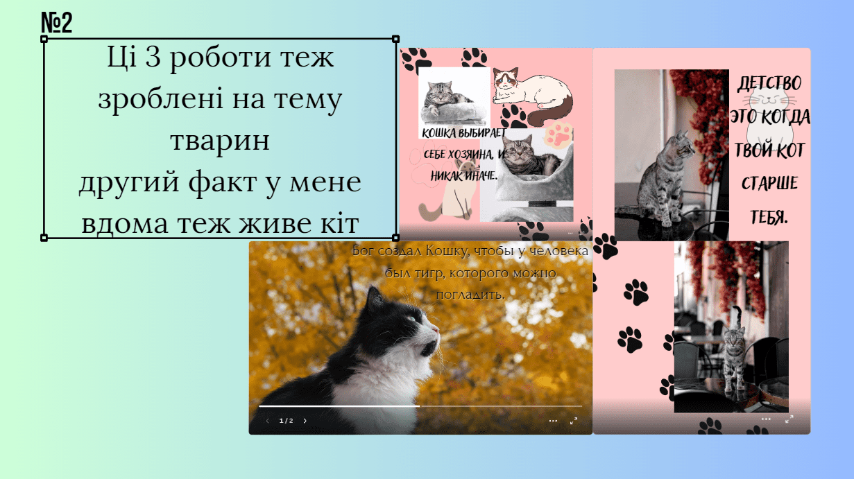 GoITeens - image 243
