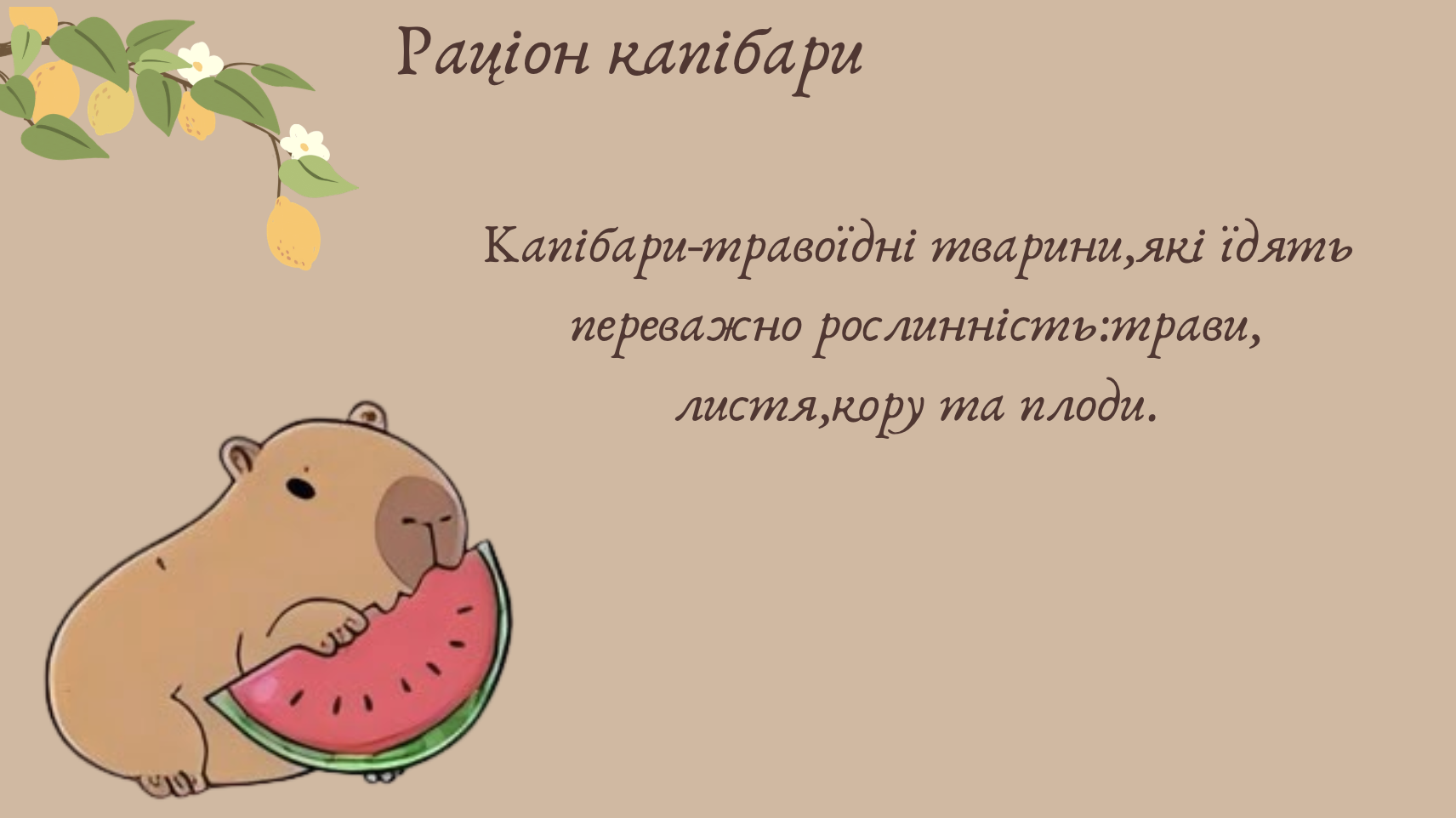 GoITeens - Snymok krana 2026 01 13 v 14.06.03