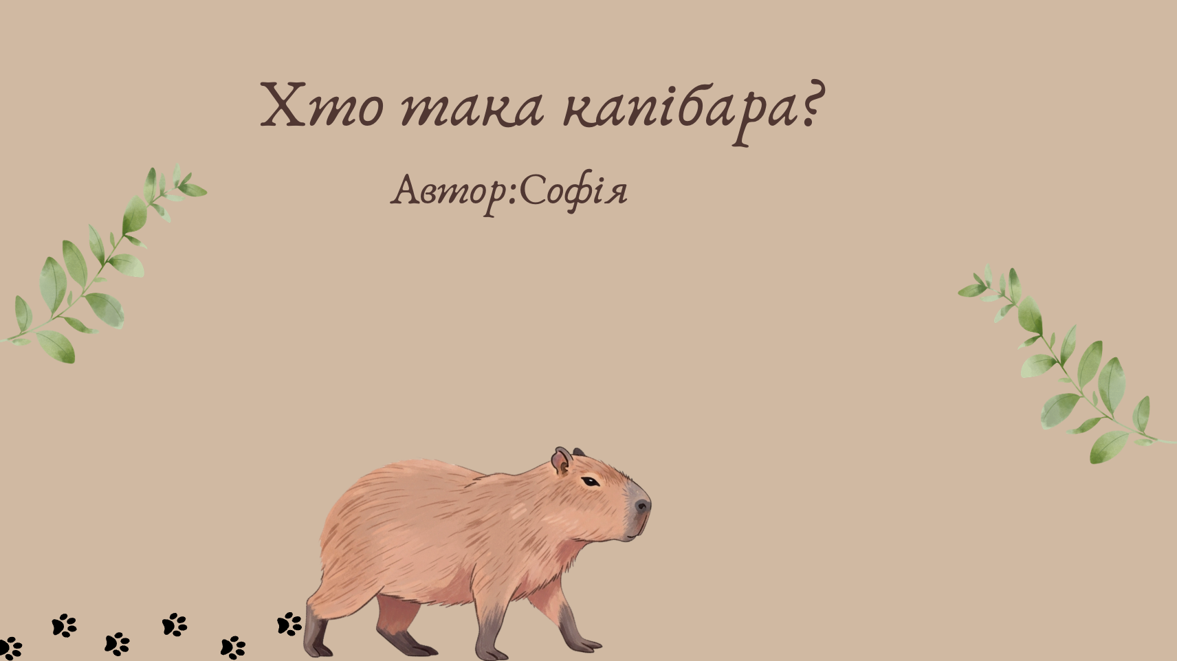 GoITeens - Snymok krana 2026 01 13 v 14.05.54