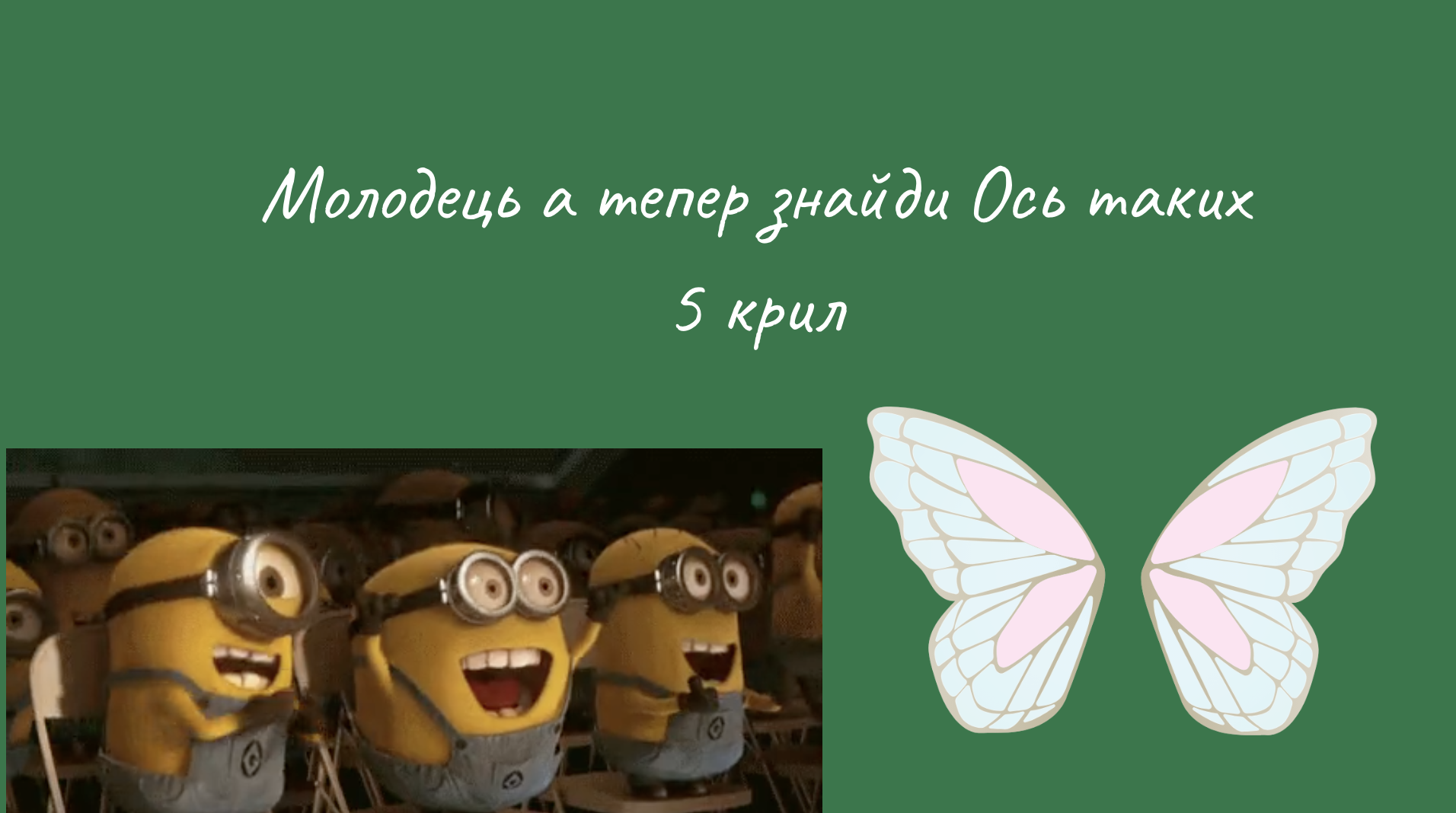 GoITeens - Snymok krana 2026 02 19 v 12.19.03