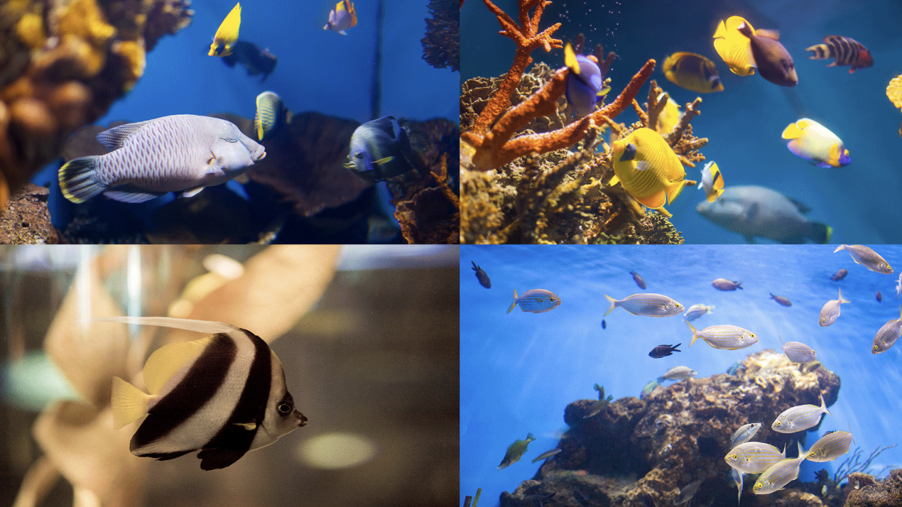 GoITeens - Snymok krana 2026 08 18 v 14.11.14